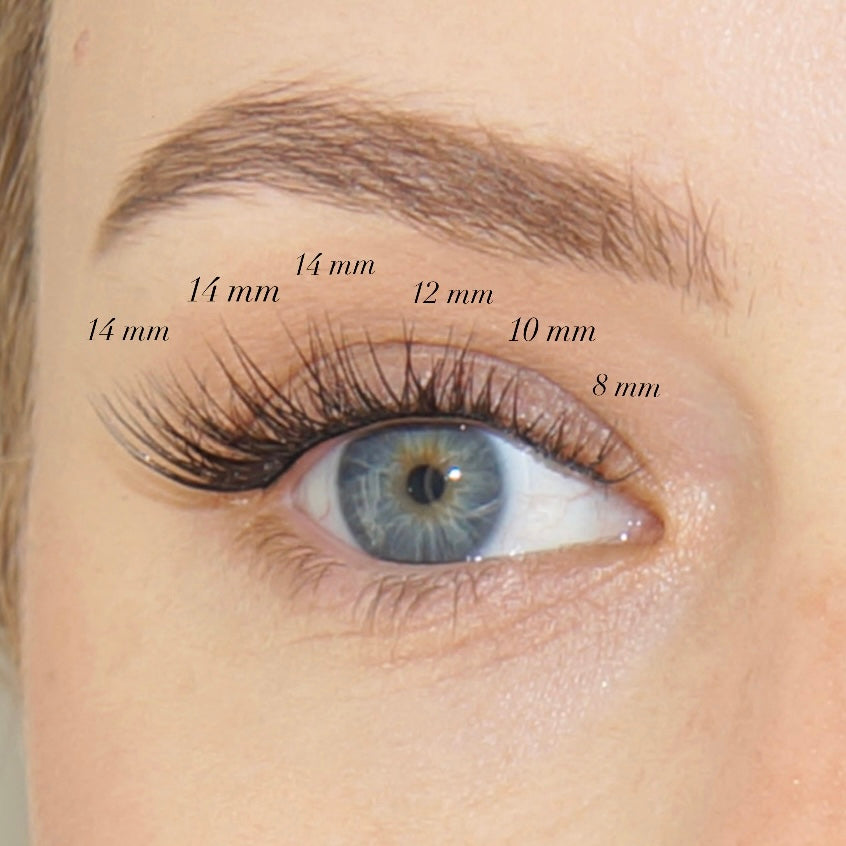 Natural C-curl Clusters/Lashes