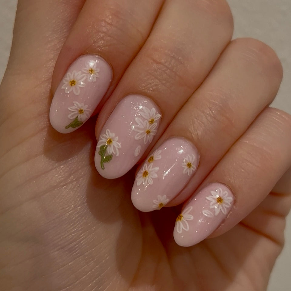 Daisies Negleklistermærker
