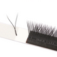 YY 2D Eyelash Extensions